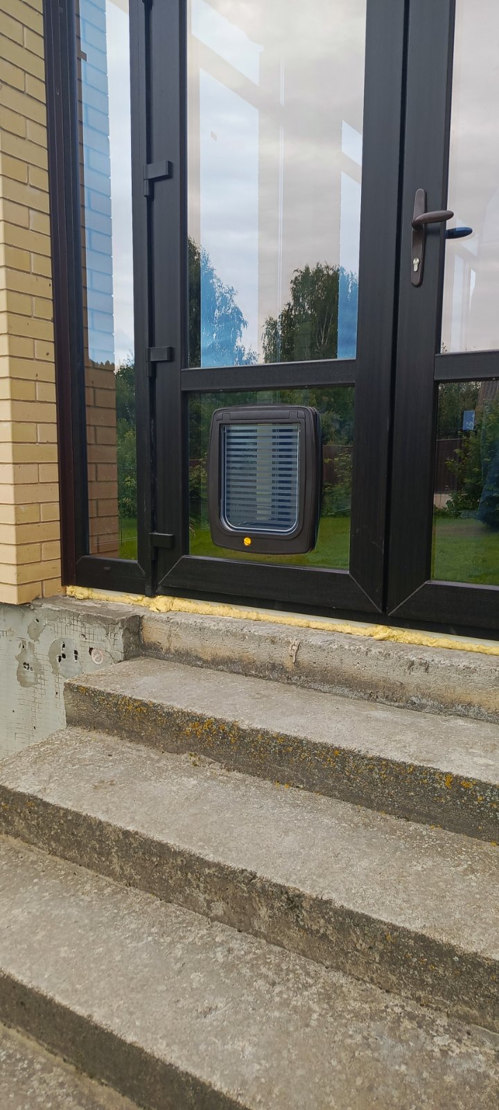 Дверца для кота в стеклопакете