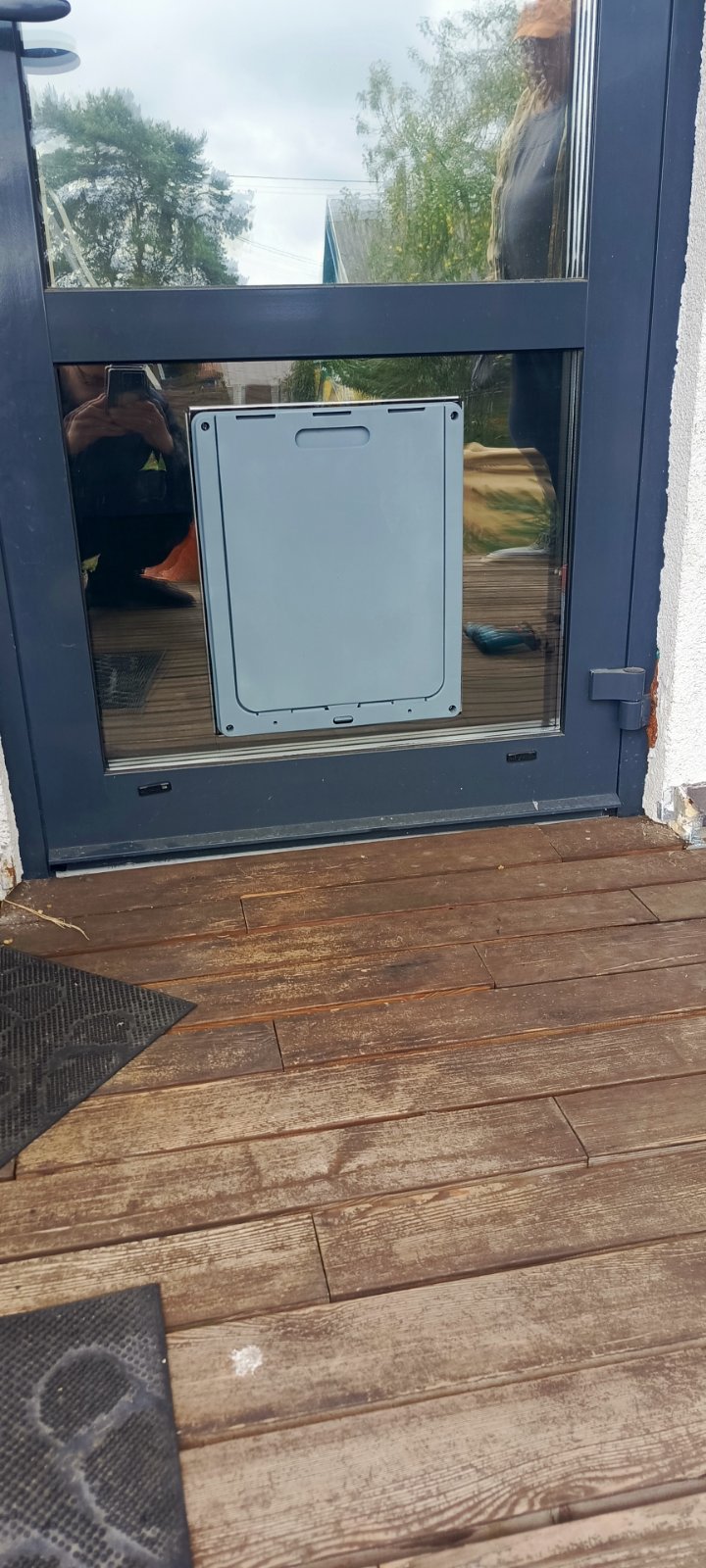 Лаз для кота в окне