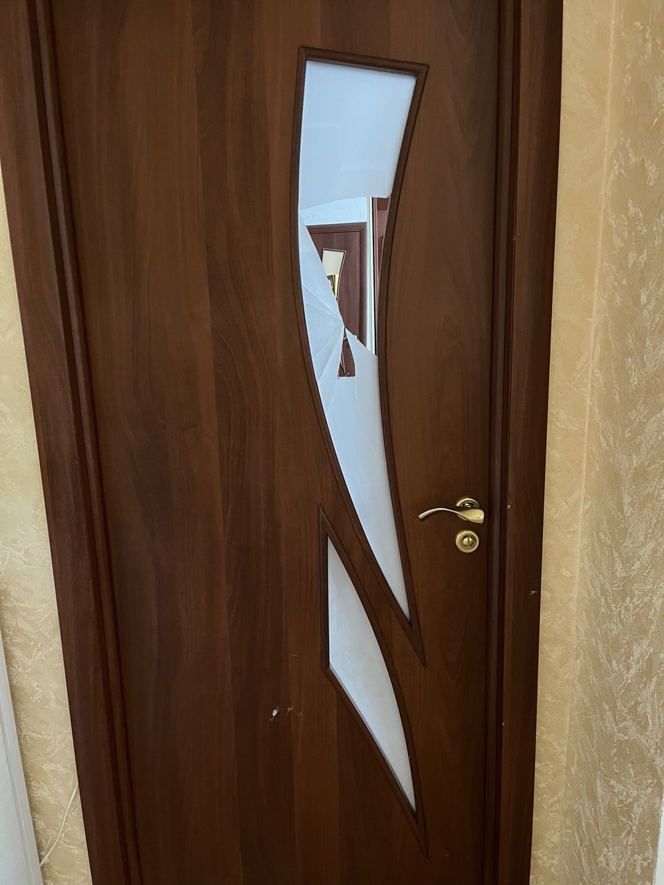 Процесс замены стекла в двери